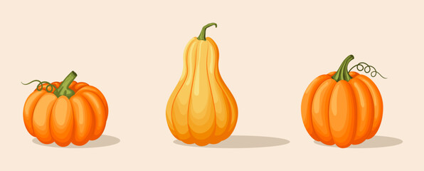 Autumn Pumpkin Set Isolated Background.