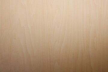 Soft Maple Wood Texture Background