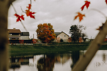 Obraz premium Calm suburban landscape with houses near a pond surrounded by autumn trees. Overcast sky, warm foliage colors, ideal for real estate, travel blogs, seasonal design, or countryside lifestyle visuals.