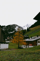 a view of a house and alps mountain in mürren switzerland
