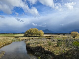 River with a Tree Leading from the Mountains