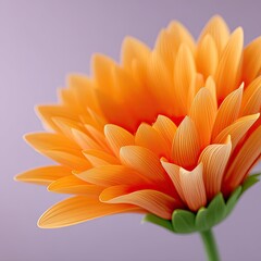 Close Up Macro View Of A Vibrant Orange Sunflower With Intricate Petal Detail Against A Soft Lavender Background With Subtle Lighting Creating A Delicate And Elegant Floral Composition