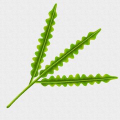 Illustration of wavy bright green leaves. Hand-drawn digital art, botanical isolated on white background.