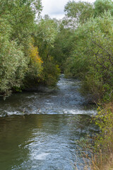 Autumn landscape with Pambak river and trees, Armenia