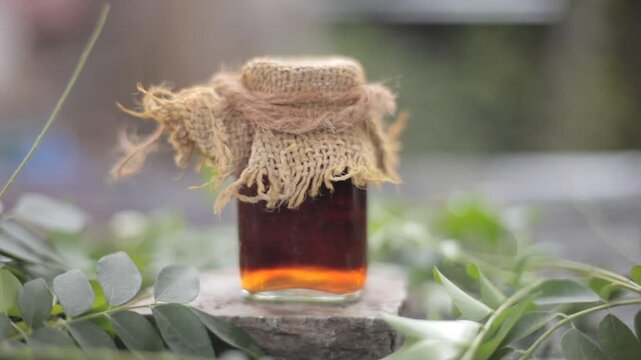 Murraya koenigii,Curry leaves with extracted oil in a transparent bottle. Concept of taking care of hair and skin.