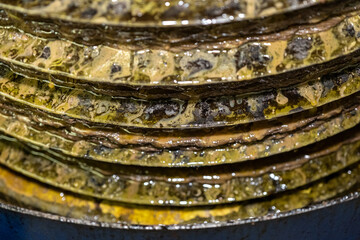 Frantoio, olive, spremitura, olio, penne, abruzzo, Italy, Europe