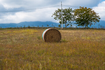 Balle di Paglia, Olivo, Montagne, Abruzzo, Penne, Italy, Europe