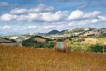 Olivi, Olive, Abruzzo, Montagne, Penne, Balle Fieno, tricolore, campi, arati,  paglia, Italy, Europe