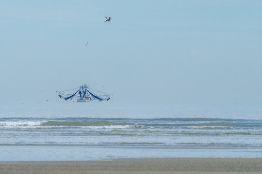Ghost Shrimper at Captain Sams Inlet
