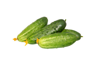 Cucumbers isolated on white. Pile of Fresh Cucumbers.