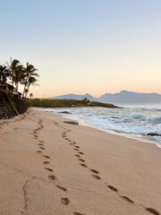 Serene beach in Maui island, Hawaii captured in sunrise light with gentle ocean waves and warm tropical colors