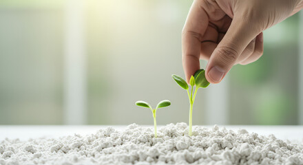 Hand planting small sprouts in soil with natural sunlight and transparent background