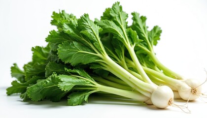 Fresh green turnip tops with white bulbs and roots rest on a clean white background. This healthy raw produce is perfect for cooking and recipes.