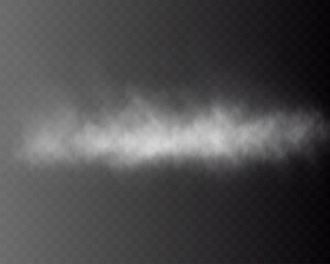 Realistic white smoke cloud horizontal effect on transparent background, fog or mist texture with soft haze, vapor or steam motion design element.