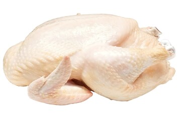 Whole raw chicken isolated on white background
