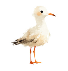 Fototapeta premium seagull isolated on white background