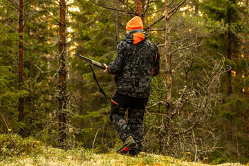 Hunter with his hunting rifle outdoor in the autumn wilderness hunting moose