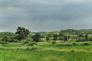 Gir Forest in monsoon time at Gir National Park and Sanctuary Gujarat India. cloudy Sky in mountain, green grass and green farmland. countryside beautiful jungle Post monsoon lush green landscape.