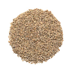 Aniseed, anise seeds, shaped into a circle, isolated from above, on white background. Anise fruits, mistakenly called seeds, from Pimpinella anisum, used to flavor food, candy, and alcoholic drinks.