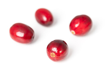 Fresh cranberries, close-up, front view, on white background. Group of four ripe and intense red large cranberries, fruits of Vaccinium macrocarpon, also called bearberries, and American cranberry.