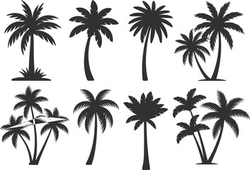 Flat vector silhouette set of tropical palm trees, exotic foliage, nature icons, black tree shapes, beach landscape design elements