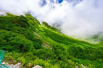 8月の千畳敷カールの風景