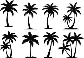 Flat vector silhouette set of tropical palm trees, beach foliage, exotic nature icons, black tree shapes, summer landscape design elements