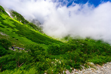 8月の千畳敷カールの風景