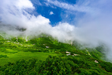8月の千畳敷カールの風景