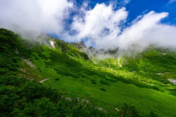 8月の千畳敷カールの風景