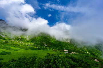 8月の千畳敷カールの風景