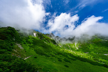 8月の千畳敷カールの風景