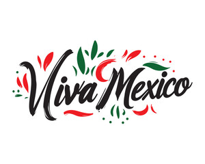 Viva Mexico, traditional mexican phrase holiday, lettering vector illustration