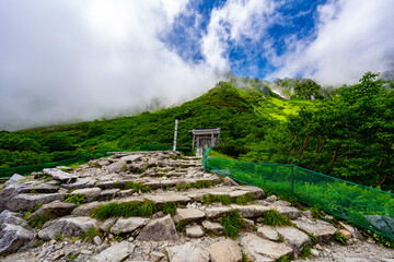 8月の千畳敷カールの風景
