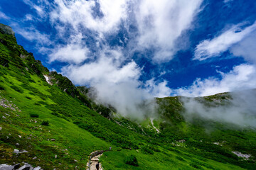 8月の千畳敷カールの風景