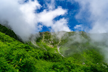 8月の千畳敷カールの風景