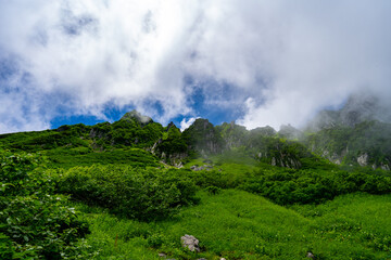 8月の千畳敷カールの風景