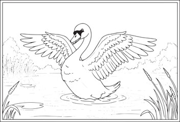 Fototapeta premium Majestic swan with outstretched wings on the water in a detailed