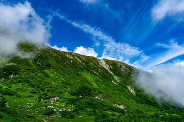 8月の千畳敷カールの風景