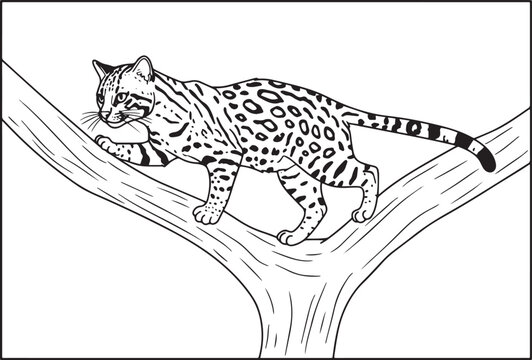 Detailed illustration of a margay cat climbing on a tree branch