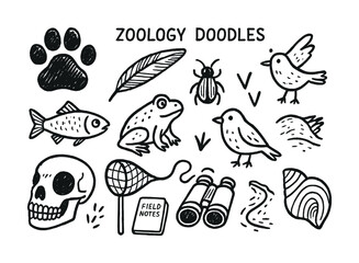 Obraz premium Vector Zoology doodles: animals, birds, insects, amphibians, nature sketches