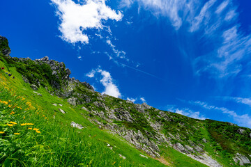 8月の千畳敷カールの風景