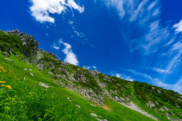 8月の千畳敷カールの風景