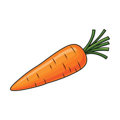 Fresh Carrot Vector Illustration with Green Leaves Isolated on Transparent Background