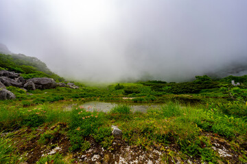 8月の千畳敷カールの風景