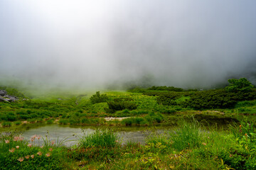 8月の千畳敷カールの風景