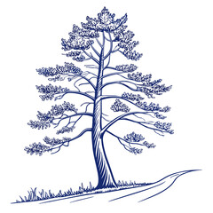 A minimalist outline drawing of a lone pine tree with a curved trunk and lush crown on a hilltop.