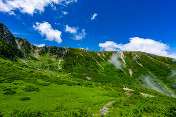 8月の千畳敷カールの風景