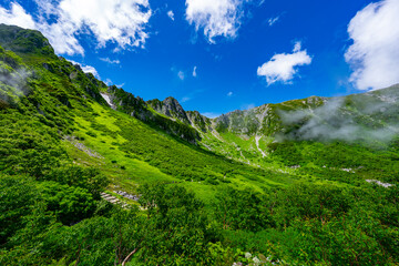 8月の千畳敷カールの風景