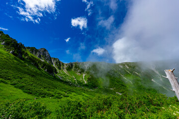 8月の千畳敷カールの風景